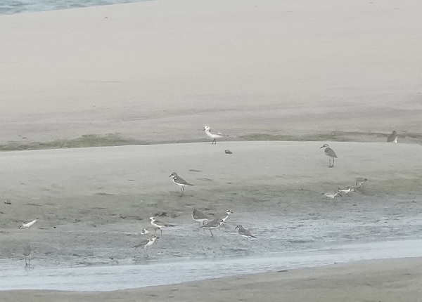 Photo credit: T. Ramesh