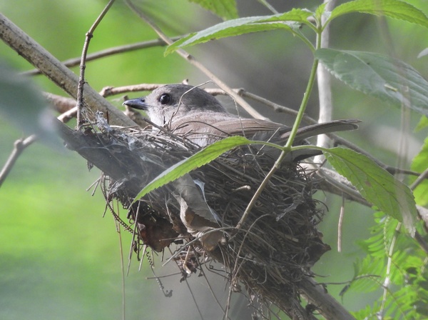 Photo credit: Joan Theng