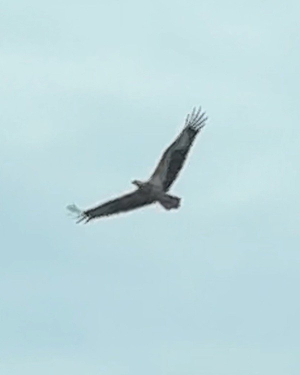 Photo credit: Shweta Amba Alagan