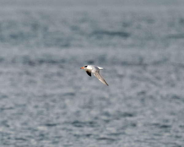 Photo credit: Ng Yan Ze