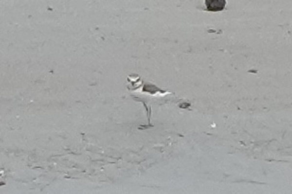 Photo credit: T. Ramesh