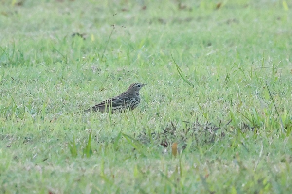 Photo credit: Daniel Engelbrecht