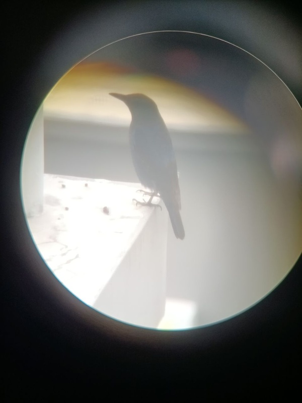 Photo credit: Ong Ruici