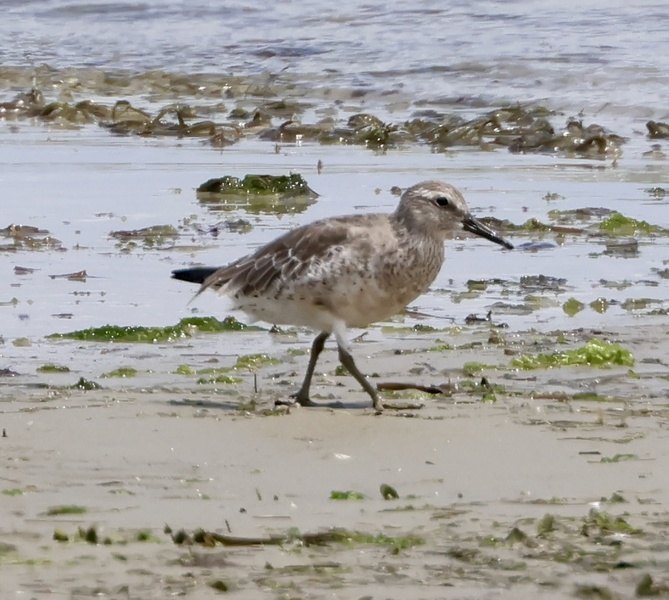 Photo credit: Khoo Wunson