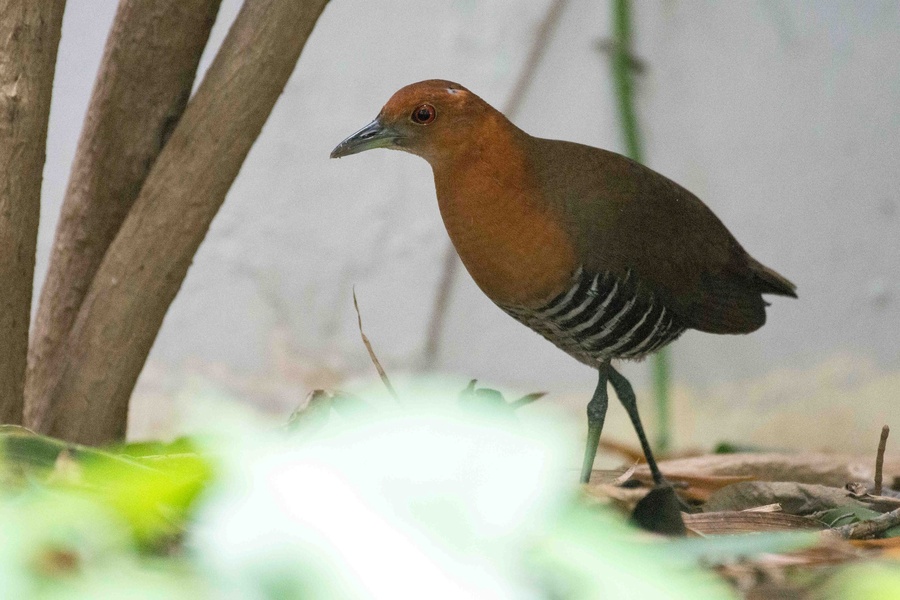 Photo credit: Dillen  Ng