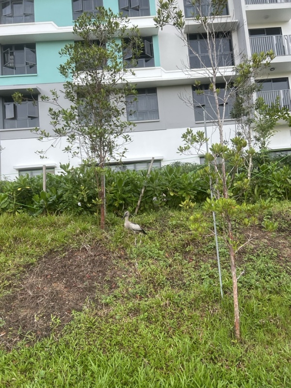 Photo credit: Derrick Lim