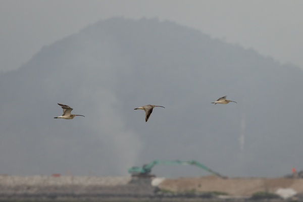 Photo credit: Yap Bao Shen