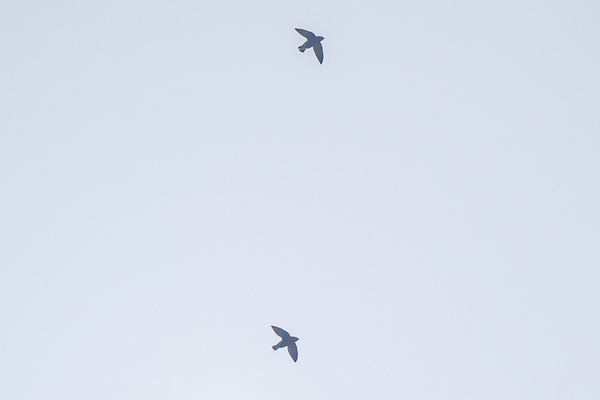 Photo credit: Ng Yan Ze