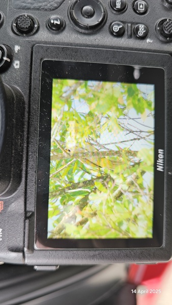 Photo credit: Vincent  Ng