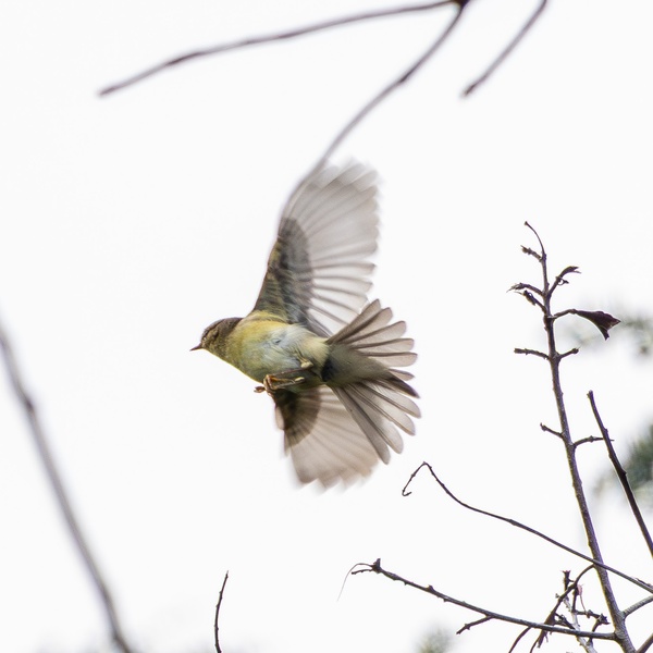 Photo credit: Benjamin Koh