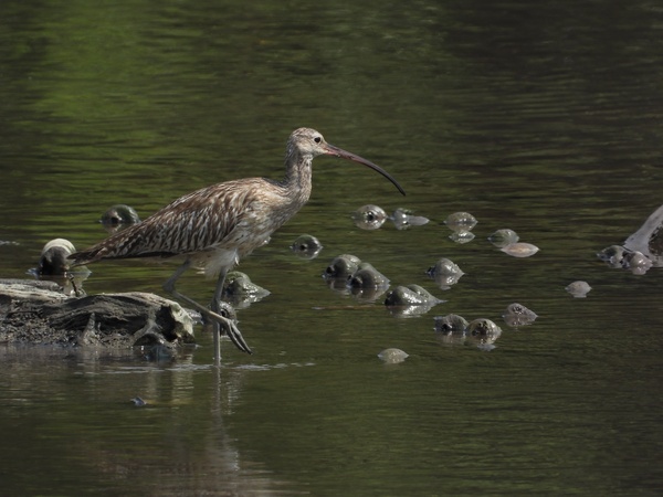 Photo credit: Samuel Ho