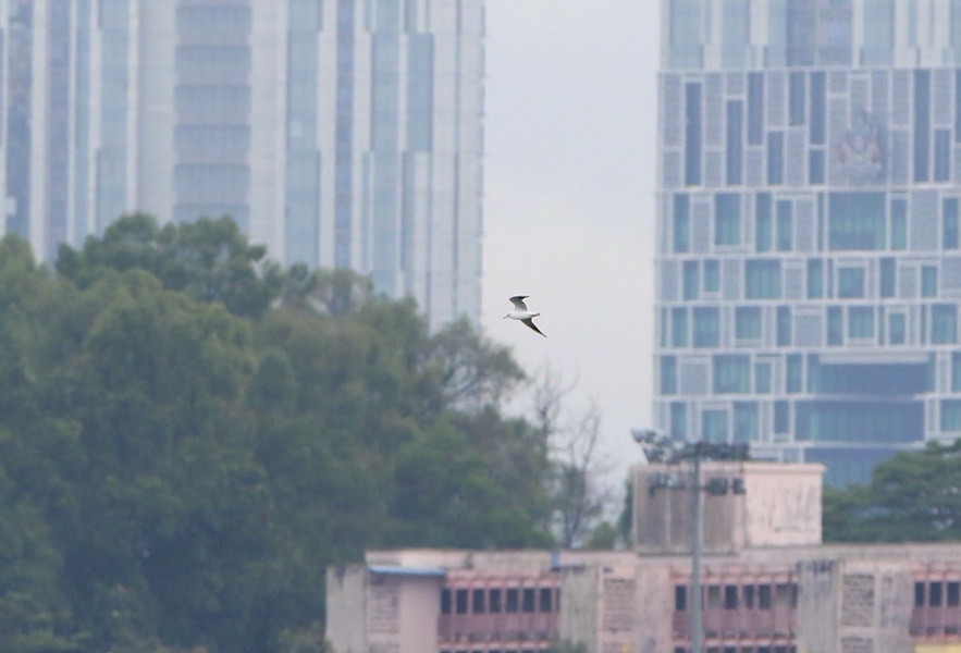 Photo credit: Fadzrun Adnan