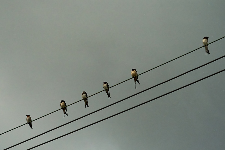 Photo credit: Lai Sau Ping