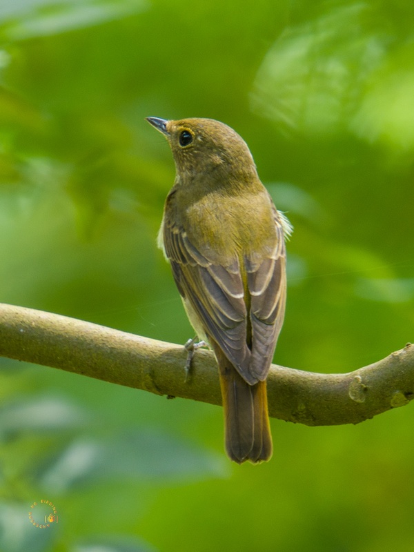 Photo credit: Anderson Ng