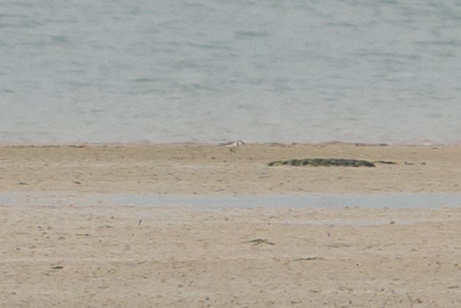 Photo credit: Jared Tan