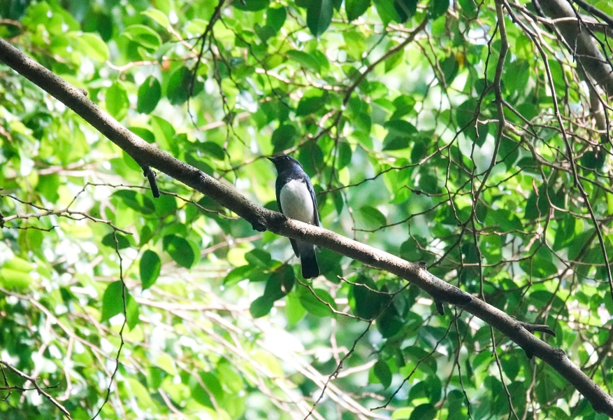 Photo credit: Brad R