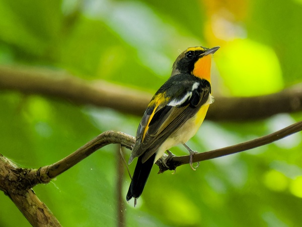 Photo credit: YONG Woon Ching