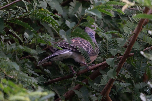 Photo credit: Jared Tan