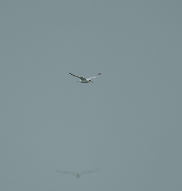 Photo credit: Dylan Lee Ck