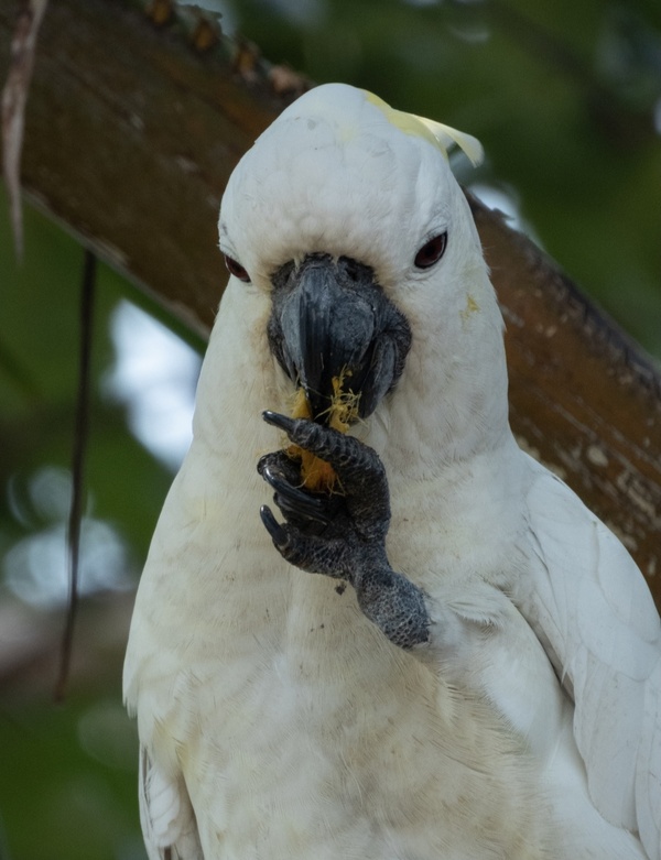 Photo credit: Rae Ng