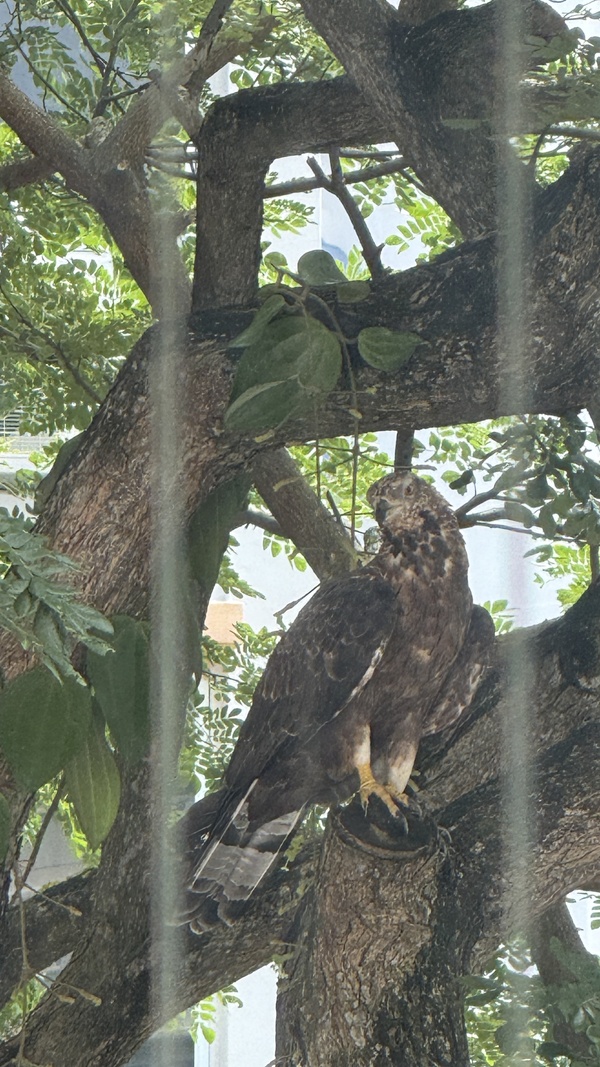 Photo credit: Natalie