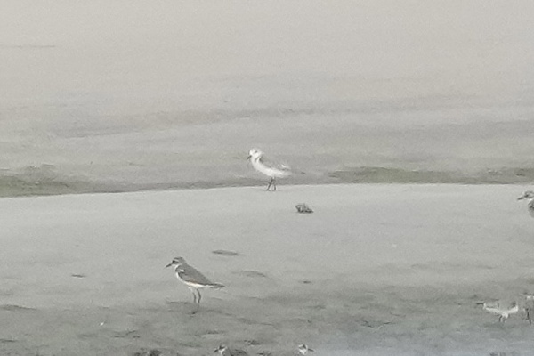 Photo credit: T. Ramesh