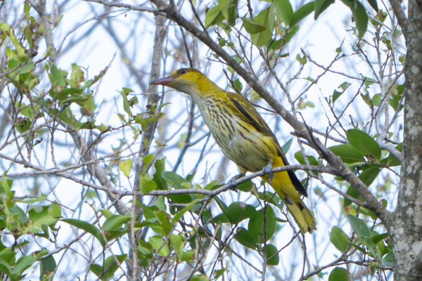 Photo credit: Jared Tan