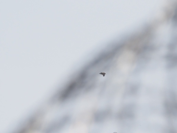 Photo credit: Mohamed Fazlin Bin Said Mohd