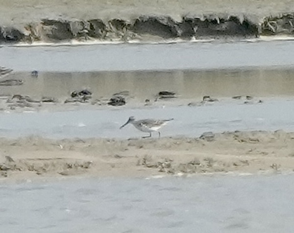 Photo credit: T. Ramesh