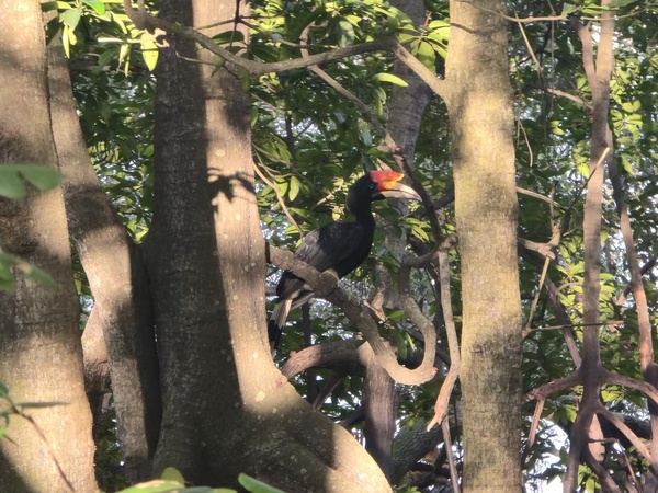 Photo credit: Liu Jia Yi