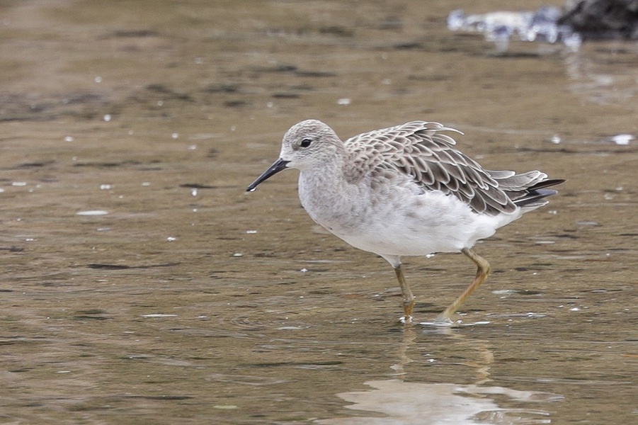 Photo credit: Francis Yap