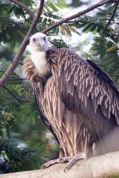 Photo credit: Julie Edgley