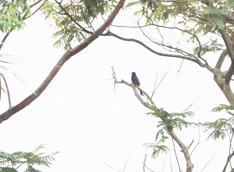 Photo credit: Fadzrun Adnan