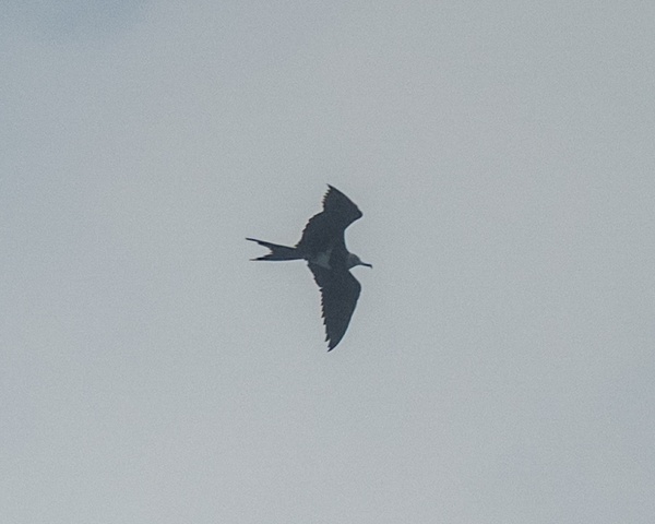 Photo credit: Ng Yan Ze