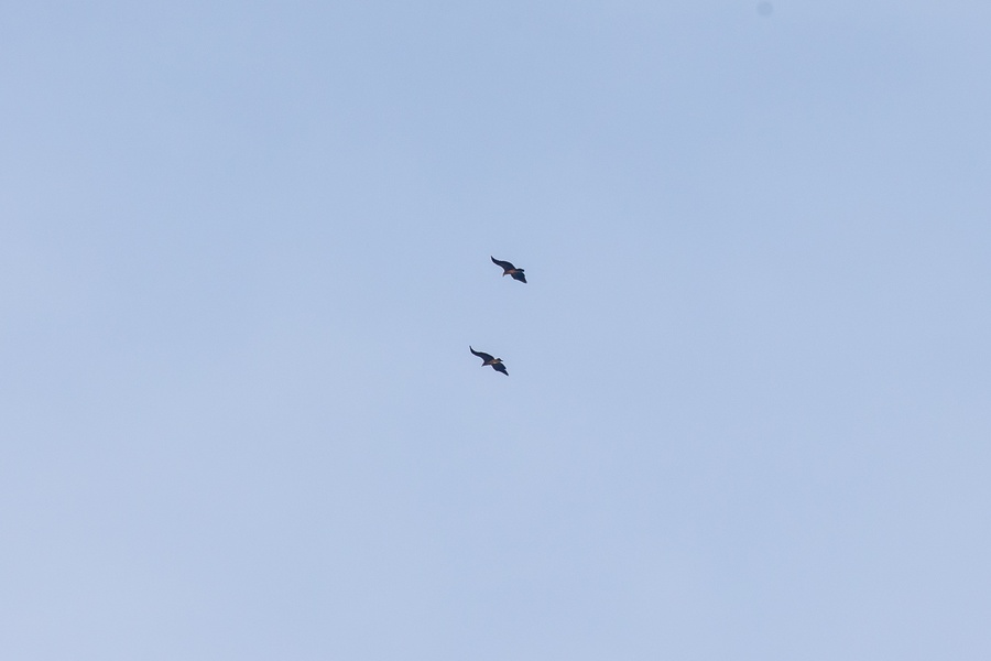 Photo credit: Daryl Tan.