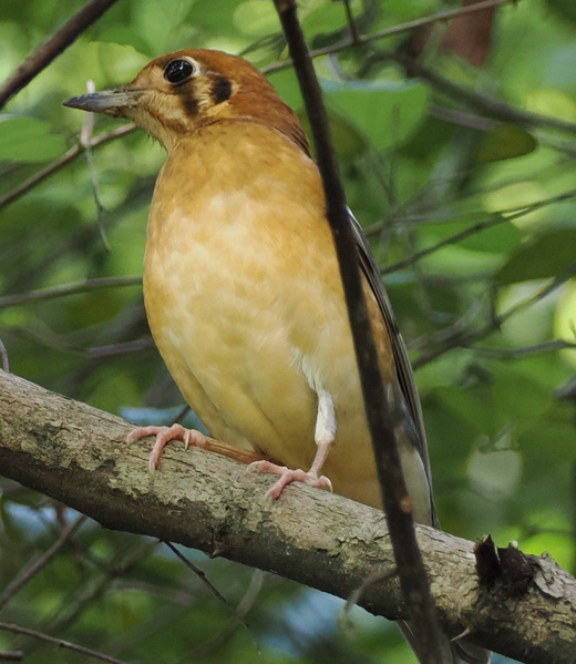 Photo credit: Joshua Timothy Carson