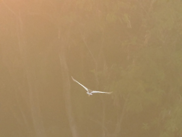 Photo credit: Raja Moorthy Karapaya