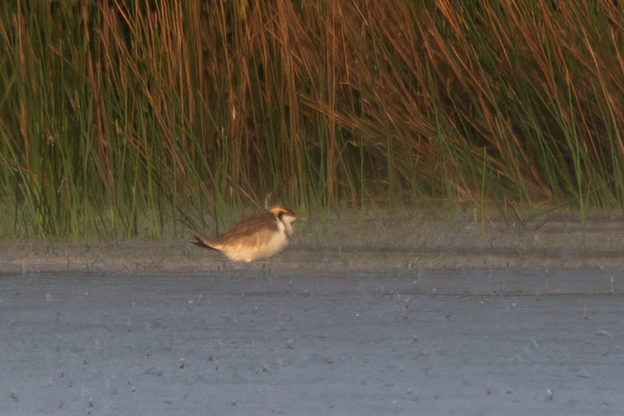 Photo credit: Yip Jen Wei