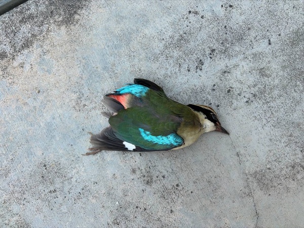 Photo credit: Yen Yi Tan