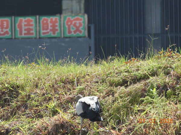 Photo credit: Hendrika Frederik