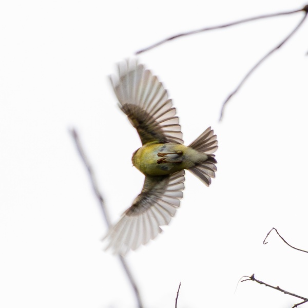 Photo credit: Benjamin Koh