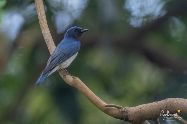Photo credit: Ah Heng