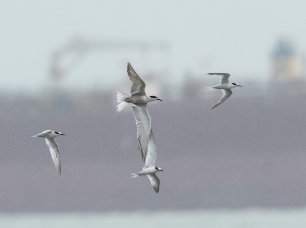 Photo credit: LEE CHIEN NIEN