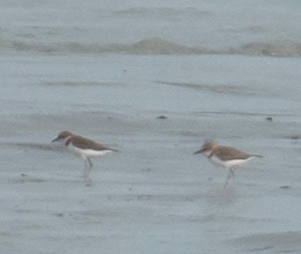 Photo credit: CN Lee