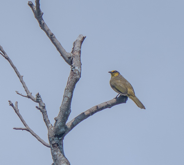 Photo credit: Dylan Lee Ck