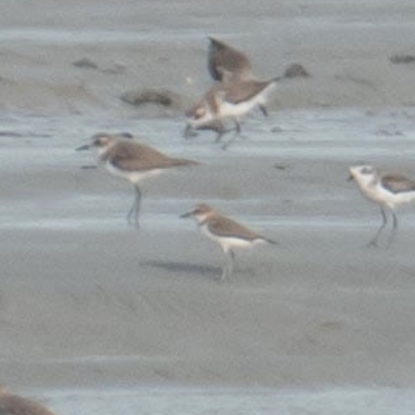 Photo credit: CN Lee