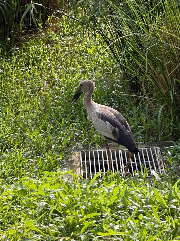 Photo credit: Alexander Wong