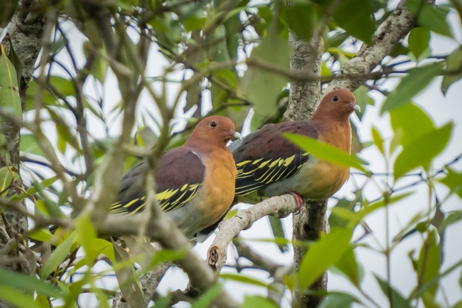 Photo credit: Yip Jen Wei