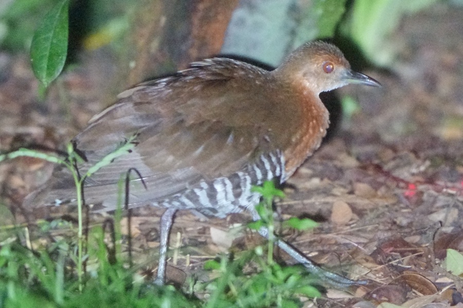 Photo credit: Raghav Narayanswamy