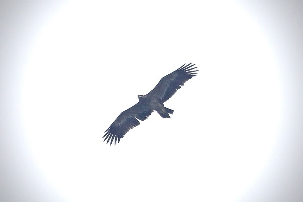 Photo credit: Swee Peng